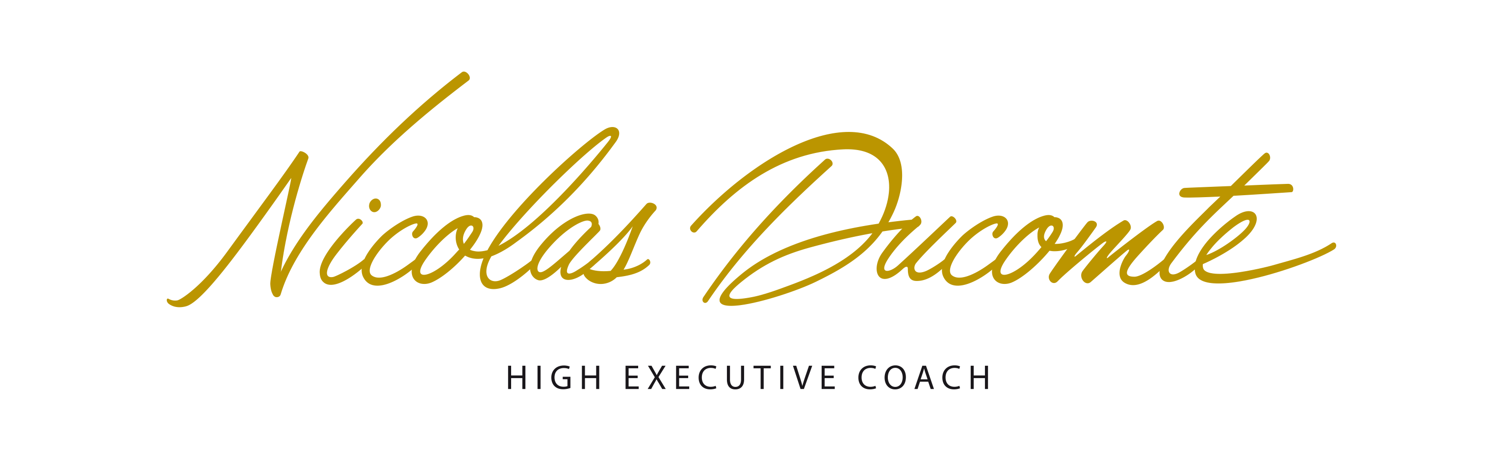 Nicolas DUCOMTE High Executive Coach